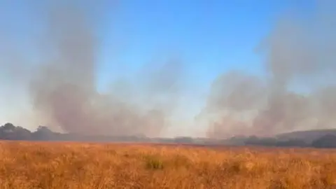Cambridgeshire Fire and Rescue Service Smoke billows from a nature reserve into a clear blue sky. Hills and trees are in the distance.