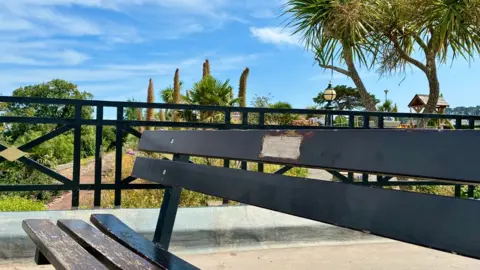 A bench on Babbacombe Downs where the plaque has been removed with trees and plants behind.