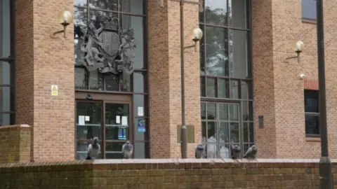 PA Media A red brick court building with grey birds on a wall outside