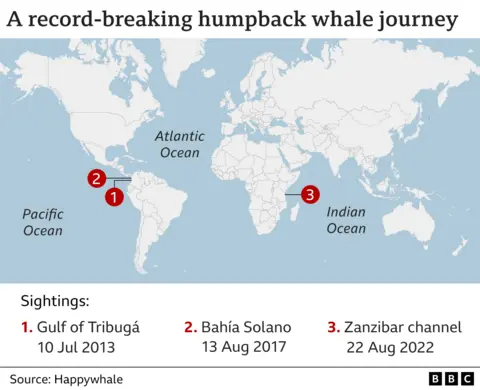 World map with title "A record-breaking humpback whale journey" showing the three sighting locations: Gulf of Tribugá, northern Colombian Pacific, on 10 July 2013; Bahía Solano, roughly 78 km from the first sighting location, on 13 August 2017, and Zanzibar channel, off Fumba, on 22 Aug 2022.