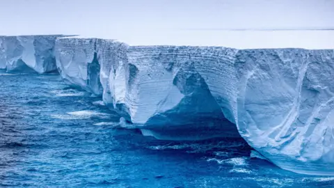 Reuters An edge of the A23a iceberg seen towering over the sea it is drifting through. The top of it appears perfectly flat and stretches into the horizon.