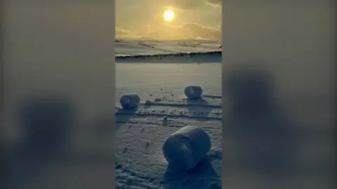 Snowy field with snow rollers in Scotland.