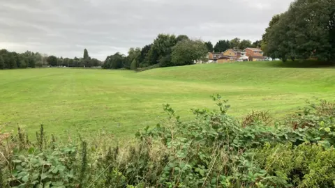 Martin Heath/BBC Grass park with hedge in foreground. Houses are visible between two trees in the background.