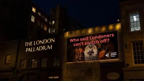 At night, an illuminated screen beside the London Palladium shows a hedgehog curled among autumn leaves, with the slogan "Who said Londoners can't switch off?" and the London Wildlife Trust logo.