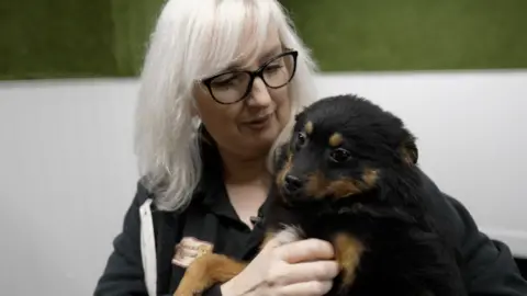 BBC Rachael O'Regan runs a dog rescue firm