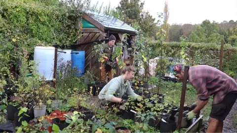 Laura Puig/Sheffield Fruit Trees Gardeners on a fruit tree allotment