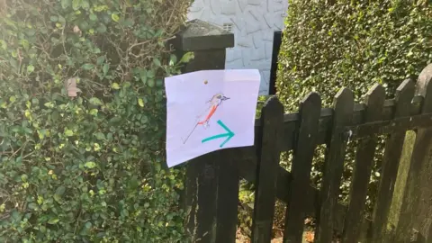 An A4 piece of paper with a bird with red and yellow markings drawn onto it stuck onto a wooden gate surrounded by privet hedges