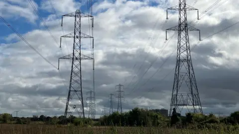 Matt Knight/BBC Two rows of tall pylons are pictured against a moderately cloudy sky.