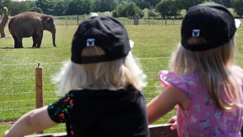 ZSL Children looking at elephant at Whipsnade Zoo