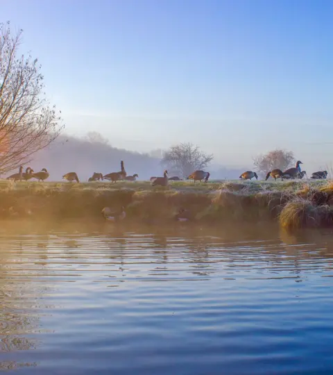 Lucy Bickerton On the river near Northmoor Lock