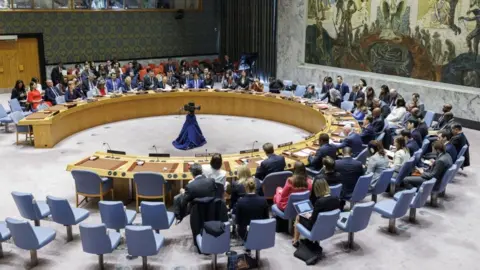 Reuters Security council