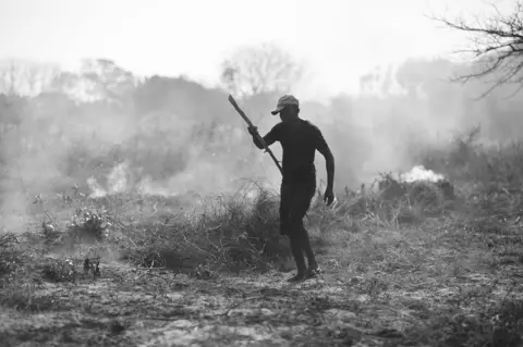 Mario Macilau Miguel Langa burning forest