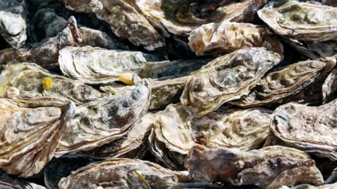 Getty Images Oysters