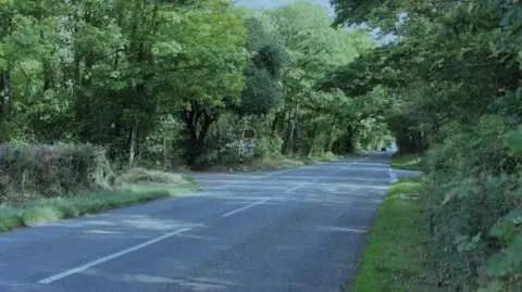 A view of a country road. The road is black tarmac and there are large green trees framing either side of the road, as well as hedging.