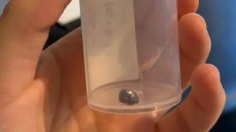 RSPCA A small silver pellet, about half a centimetre across, in a plastic pot.