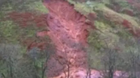 National Trust landslip