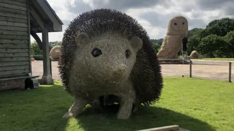 Alex Rinsler Hedgehog at Longleat