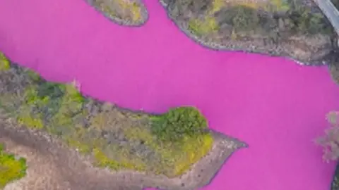 A bright pink pond in Hawaii