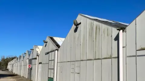 BBC derelict glasshouses