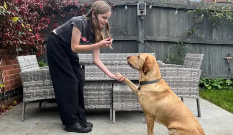 A young girl with long brown hair wearing a grey t-shirt and long black trousers is holding the paw of a Labrador dog who is looking up at her. She is holding her hand out in front of him with a treat. 