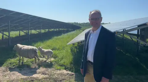 BBC Chris Ambler in a field with solar panels and sheep