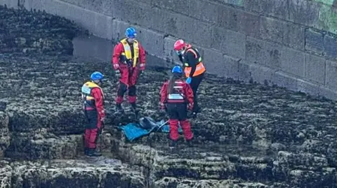 Three people in red overalls and blue hats, one with a red life jacket and two with yellow life jackets. There is another person with dark blue overalls and an orange life jacket. They are surrounding a dolphin laid on a blue matt on rocks on the coast. There is a large concrete block wall behind them.
