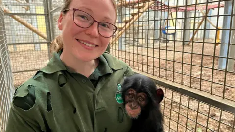 Head of Primates at Wingham Wildlife Park, Holly Whylock, holding Jane in the chimp enclosure