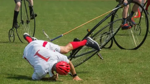 Penny Farthing Club A player in a red helmet falls forward onto grass as a penny farthing bicycle tips over during a polo match