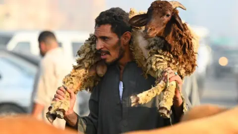 Sayed Hassan/Getty Images A man carries a sheep at Al-Manashi livestock market, Giza, Egypt – Thursday 6 June 2024