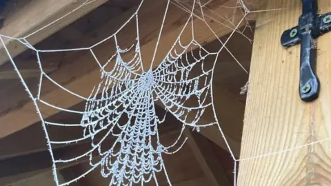 BBC Weather Watchers/Bernard Cobweb