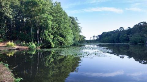 Plumpton Rocks restored after £700,000 project - BBC News