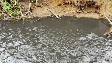Tony Walker The usually clear water of the Guisborough beck has become a dark grey black colour. It is flowing past a muddy bank.
