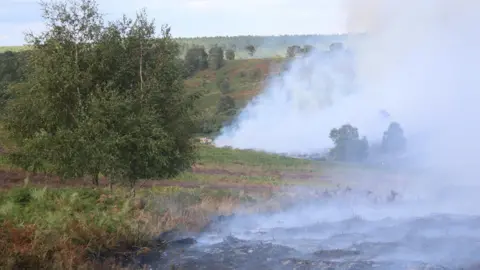 Staffordshire Fire and Rescue Service Smoke rises from smouldering heathland after a wildfire broke out at the site. Large trees are standing on the left and the heathland stretches out into the distance.