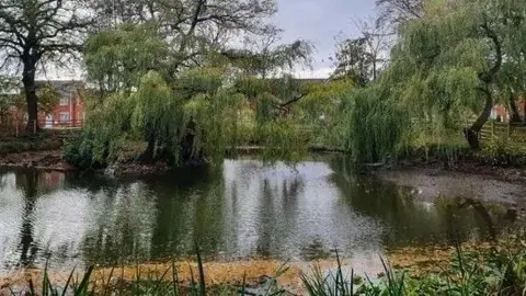 Lake with partly dried-up muddy lakebed on the right. Trees hang over it with long grass around. The modern housing estate can be seen behind between the trees.