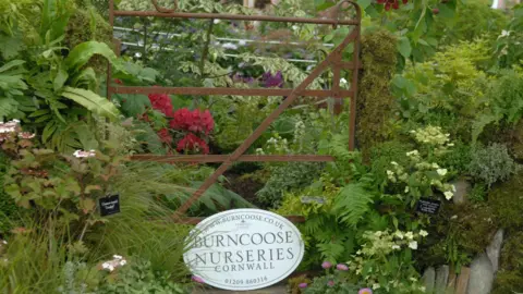 A rusty metal gate sits at the centre of a dense, carefully styled garden display, surrounded by layers of rich greenery and bright bursts of colour.
