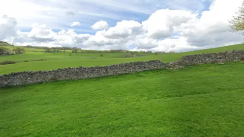 Google A green and grassy field. A stone wall runs through the middle of the picture and some rural homes can be seen in the distance.