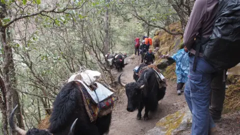 Prof Bryn Hubbard / Aberystwyth University The team on the expedition