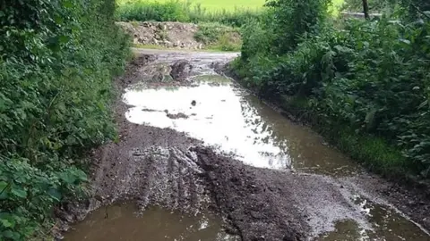 Piddle Valley bridleway