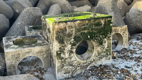 George Carden/BBC Large hollow cubes next to some concrete blocks on a sandy beach. The largest block is covered in green algae.