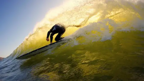 Alex Williams Alex Williams