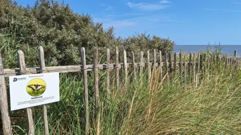 Lincolnshire Wildlife Trust Fencing leading down to the sea, with a sign identifying a swallowtail butterfly. There are bushes in the background and long grass in front of the fence.