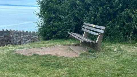 Jennie Warren A memorial bench for Peter, Bill and Lucy Warren overlooking the sea in Brixham. It is on a patch of grass in front of a large bush.