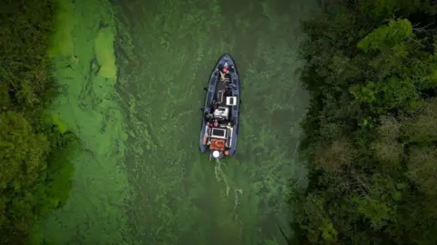 A boat in the middle of Lough Neagh, which has been made green due to the blue-green algae problem