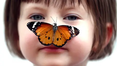 Getty Images Butterfly exhibition, London