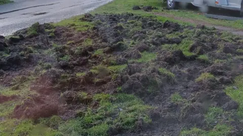 Colin Williams Close up of a lawn with piles of dug-up turf.