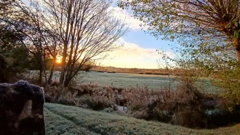 BBC Weather Watchers/Chully A frosty outdoor setting with morning drew on grassy fields and thin tree branches by a river. The sun is starting to rise at some point.