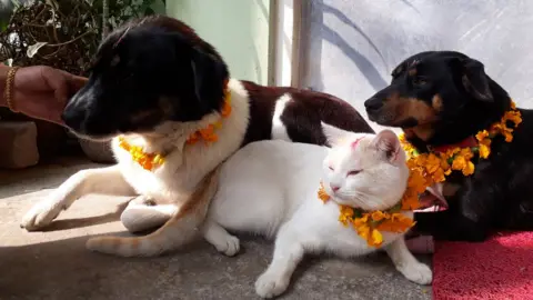 Kelsang Ongmu Tamang Sweetie, Missy and Milly