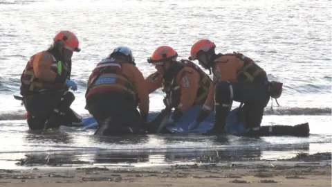 BARB Porpoise rescue