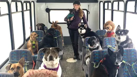 Dog bus