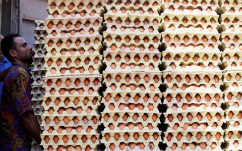 Reuters A worker carries chicken eggs at Fresh Eggs Farm as egg prices have risen in the market due to higher feed prices after Russia's invasion of Ukraine, in El-Menoufia governorate, north of Cairo, Egypt, September 6, 2022.